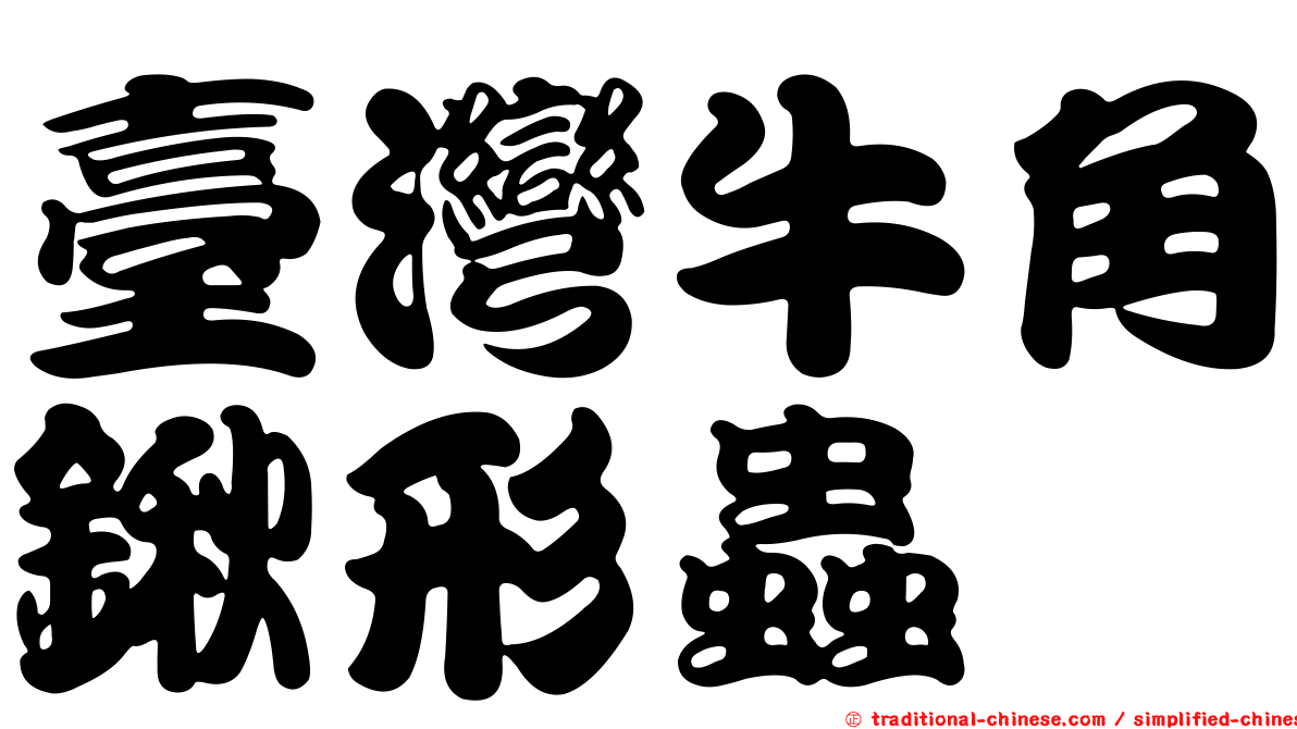 臺灣牛角鍬形蟲