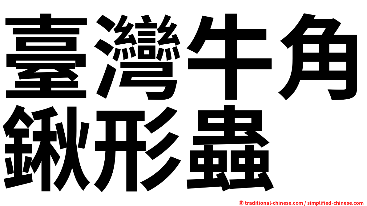 臺灣牛角鍬形蟲