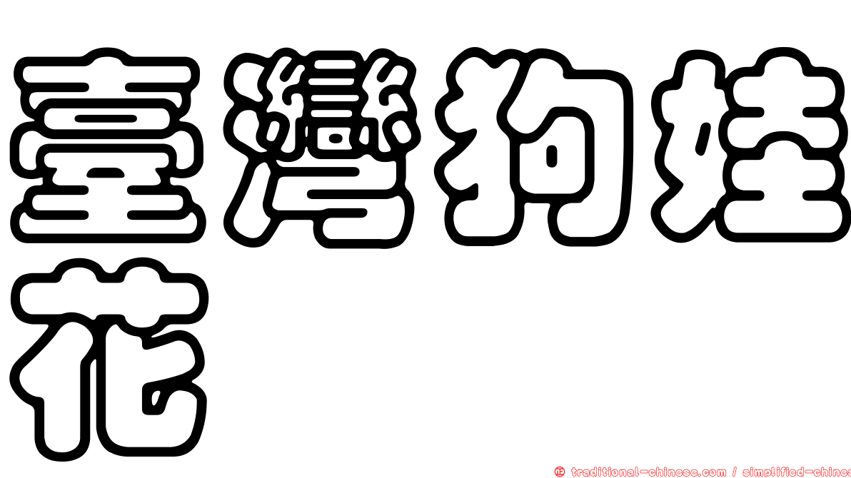 臺灣狗娃花
