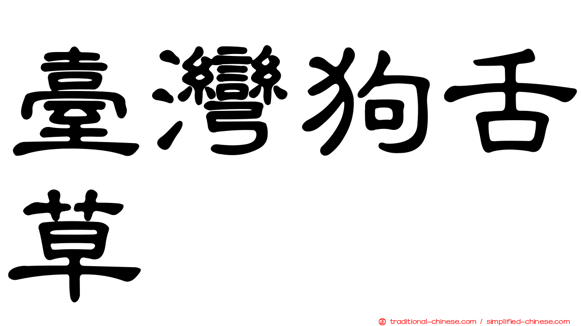 臺灣狗舌草