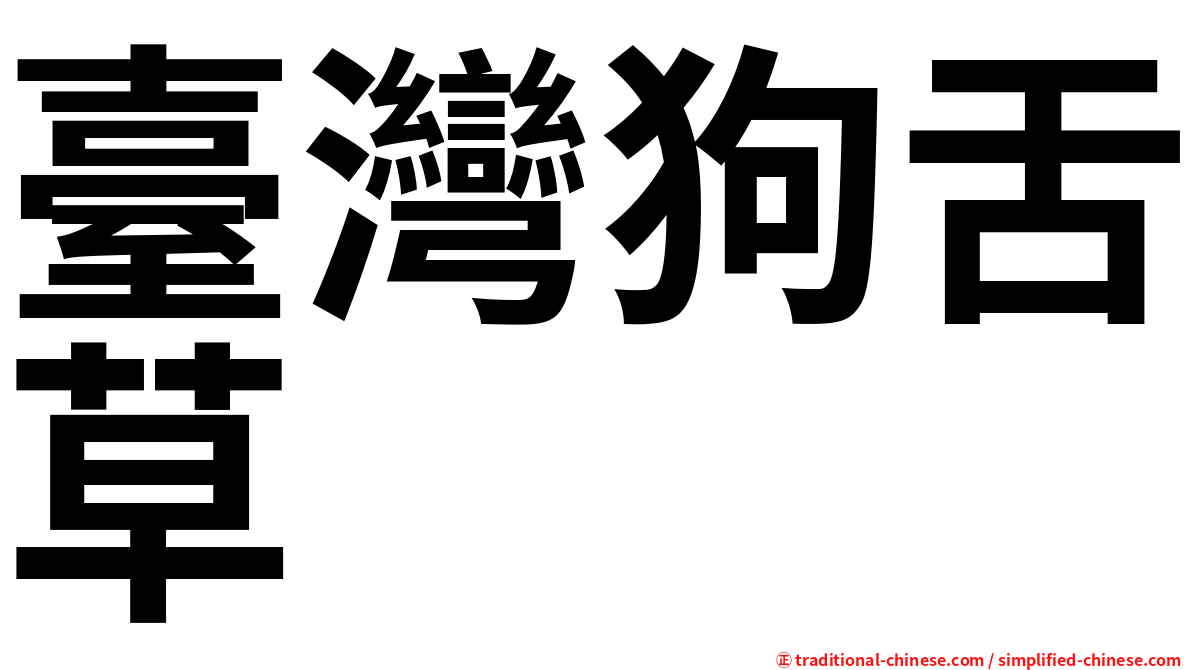 臺灣狗舌草