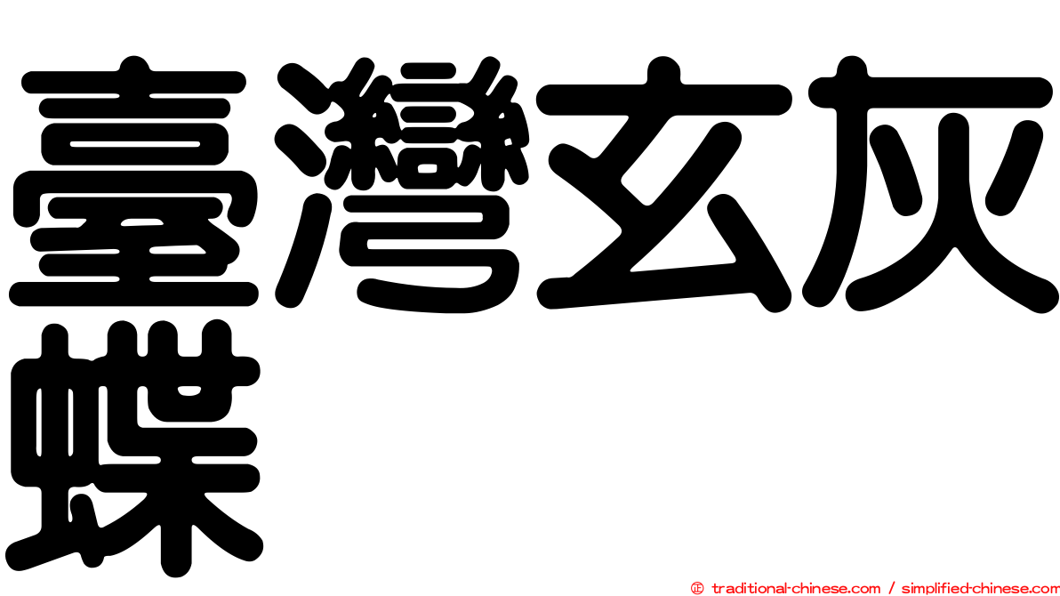 臺灣玄灰蝶