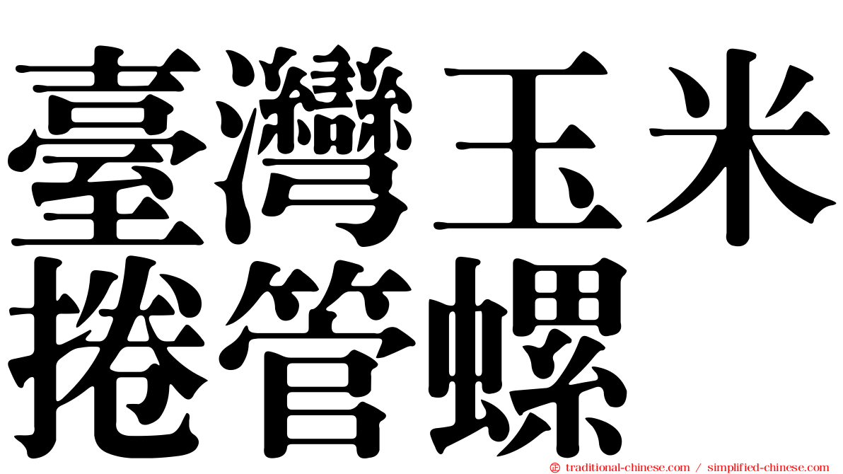 臺灣玉米捲管螺