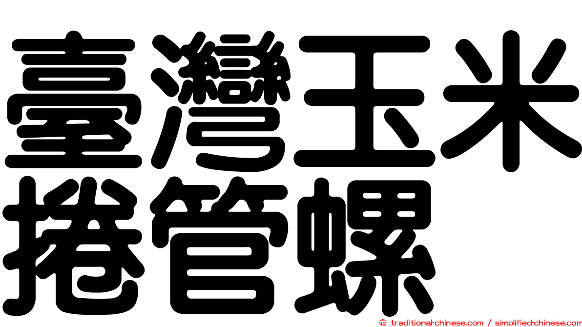 臺灣玉米捲管螺