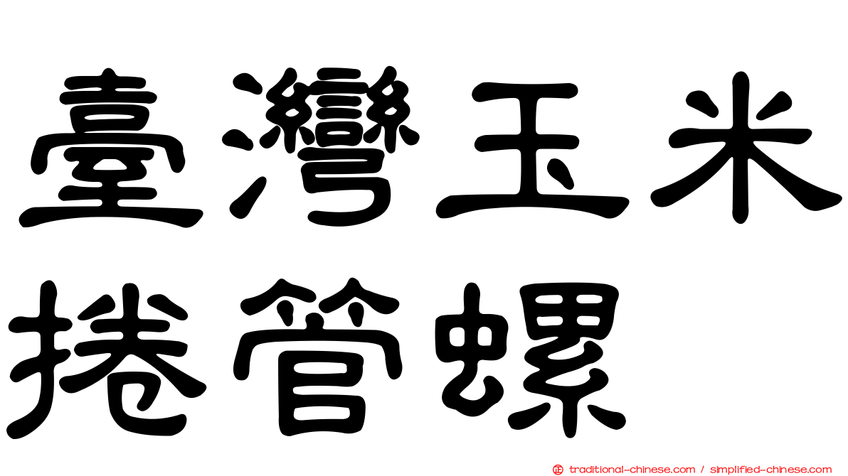 臺灣玉米捲管螺