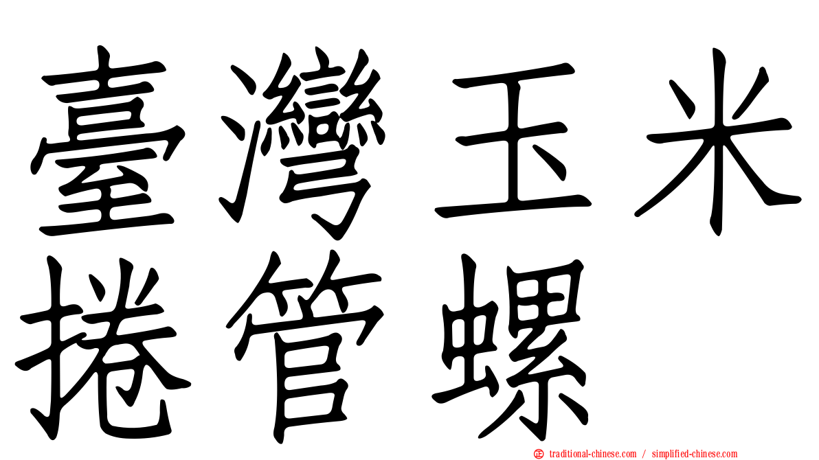 臺灣玉米捲管螺