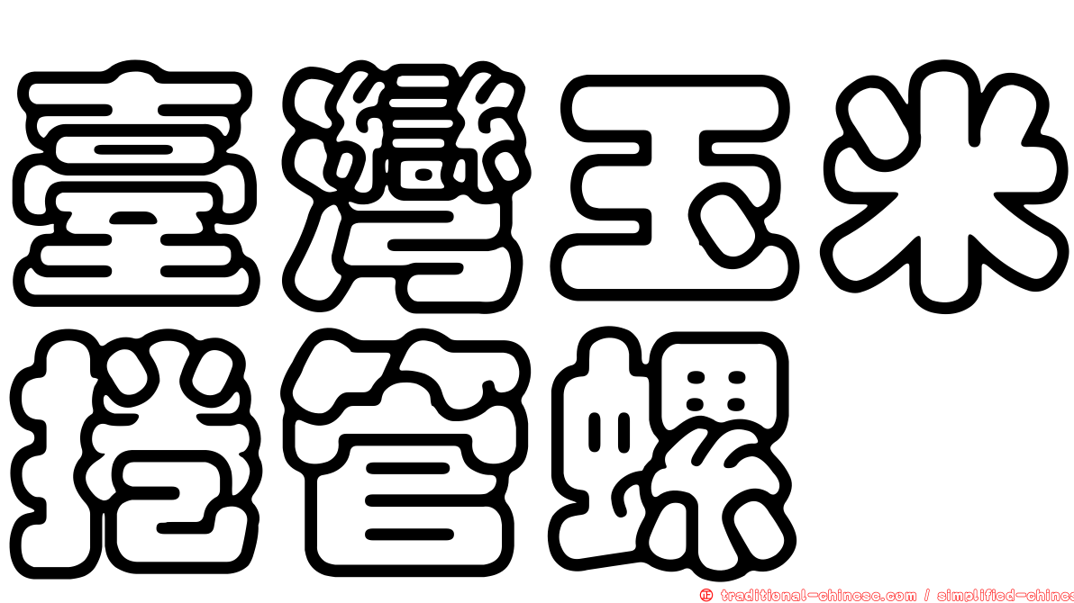臺灣玉米捲管螺