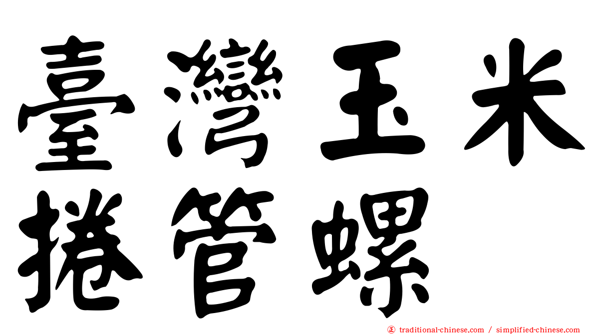 臺灣玉米捲管螺