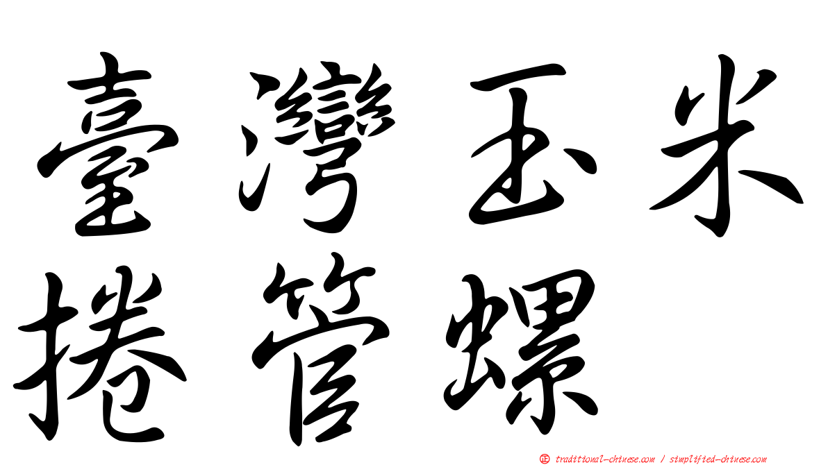 臺灣玉米捲管螺