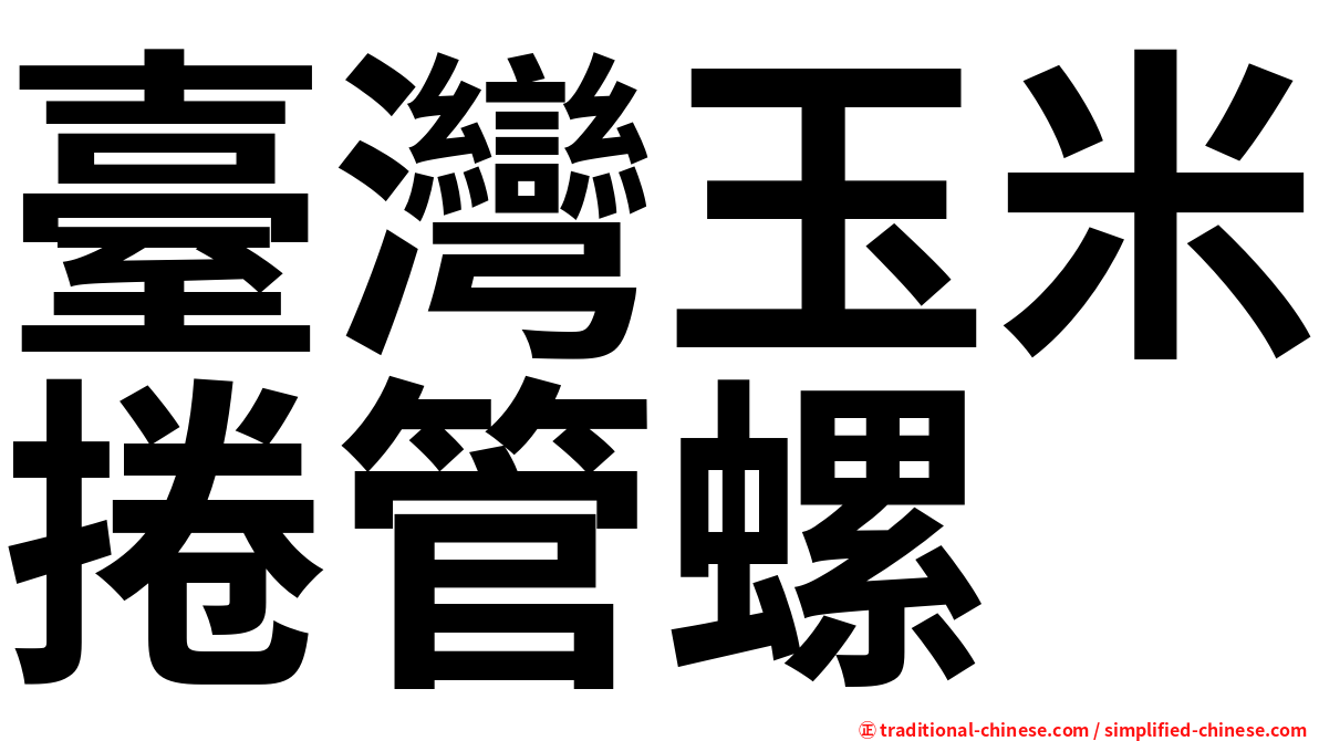 臺灣玉米捲管螺
