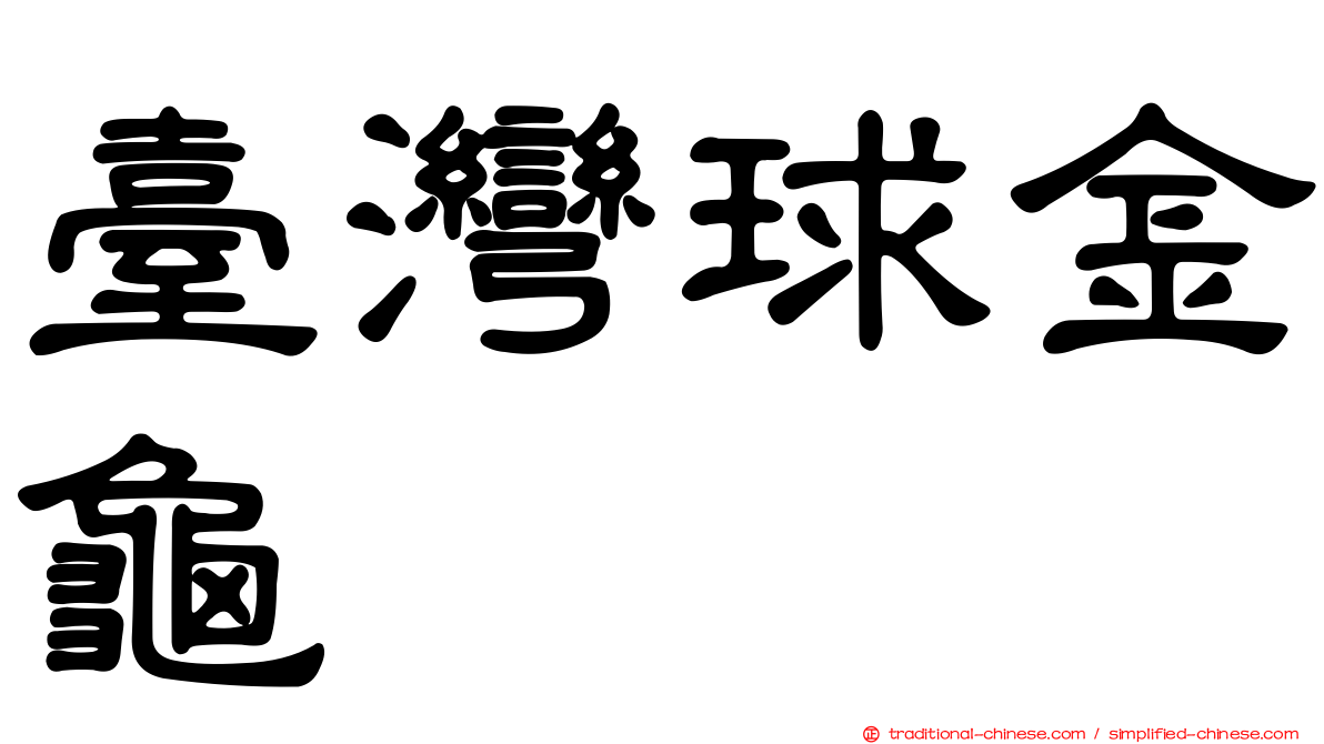 臺灣球金龜