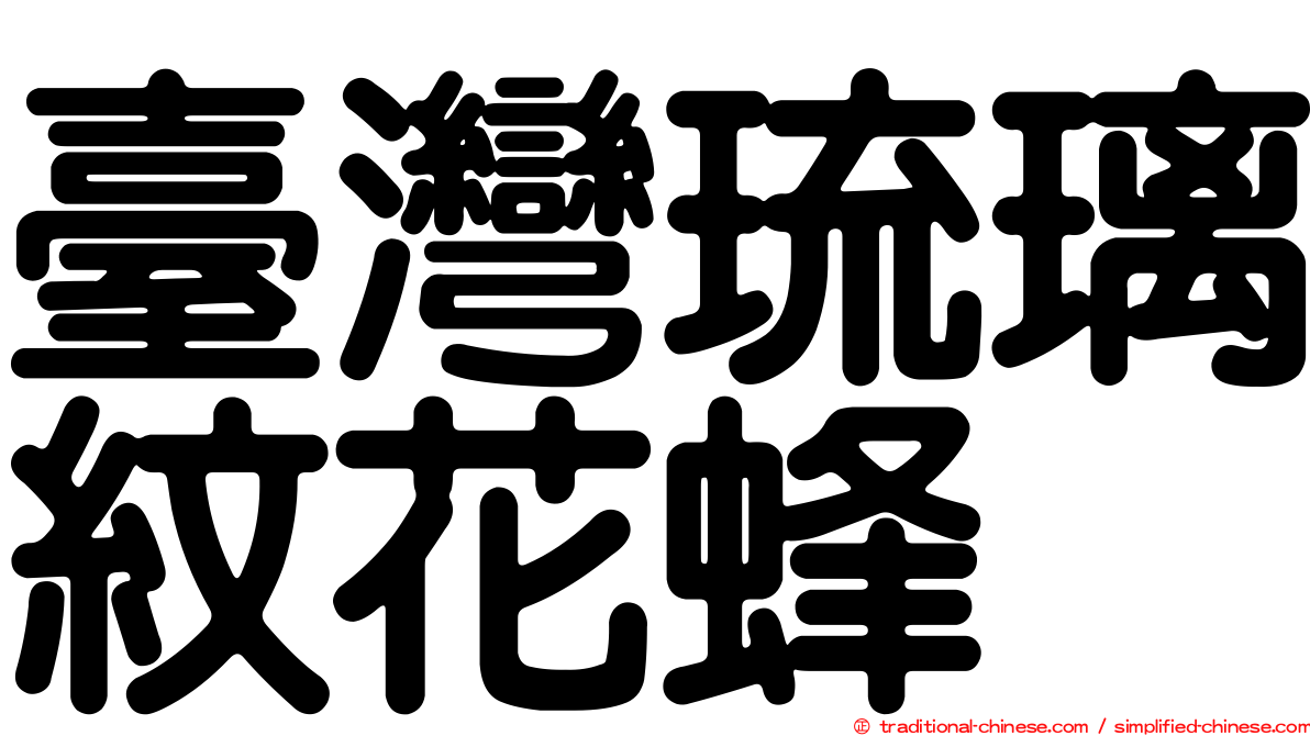臺灣琉璃紋花蜂