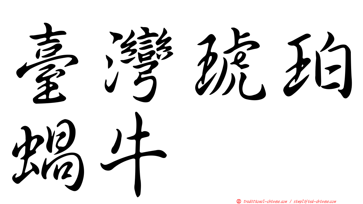 臺灣琥珀蝸牛