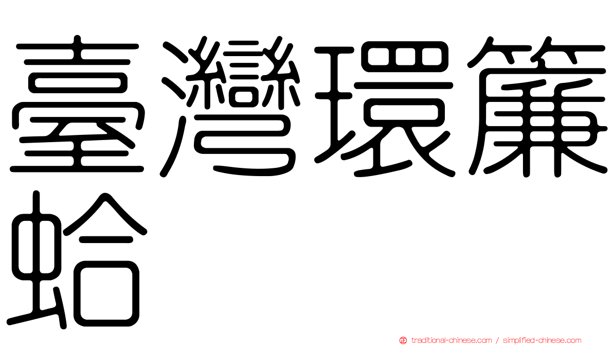 臺灣環簾蛤
