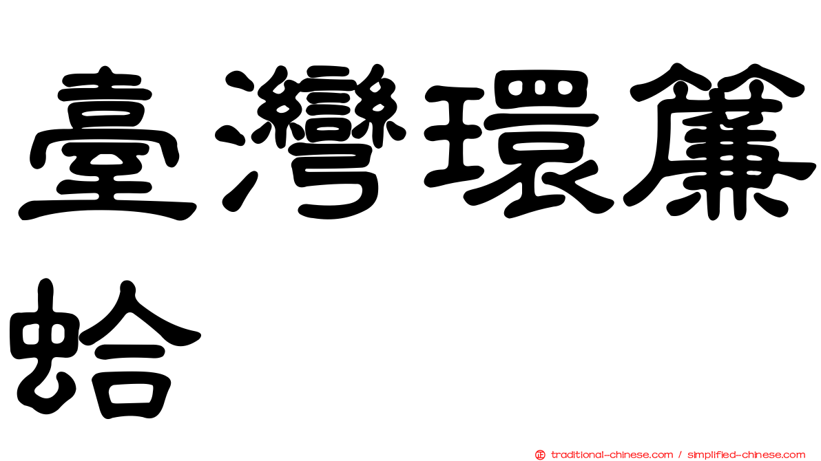 臺灣環簾蛤