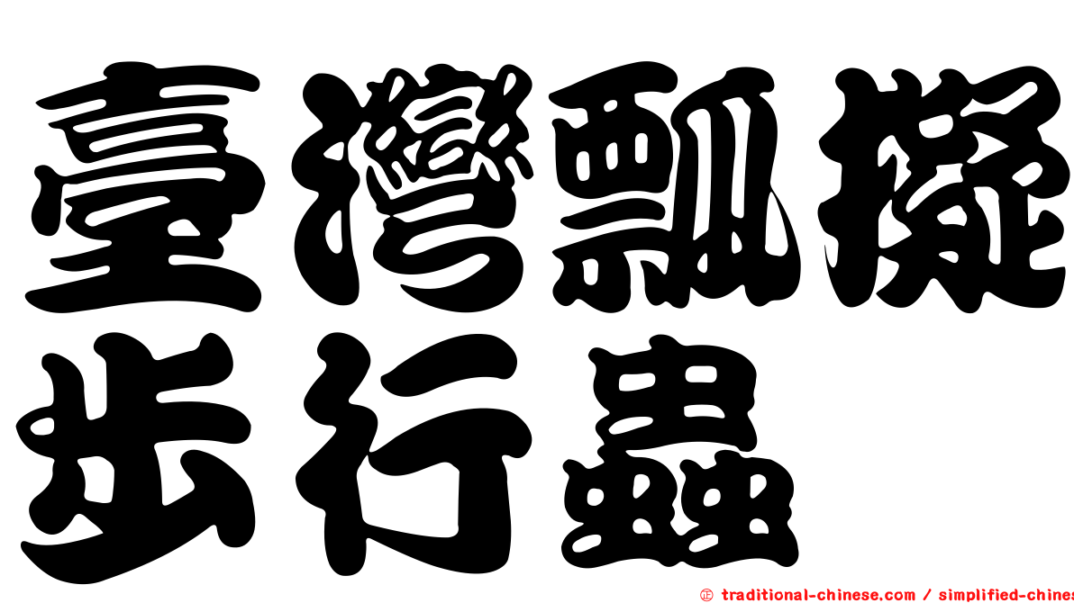 臺灣瓢擬步行蟲