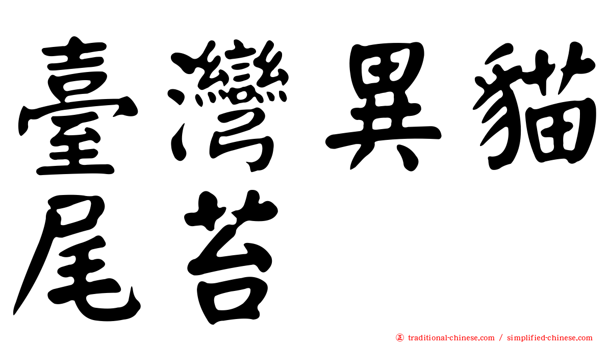 臺灣異貓尾苔