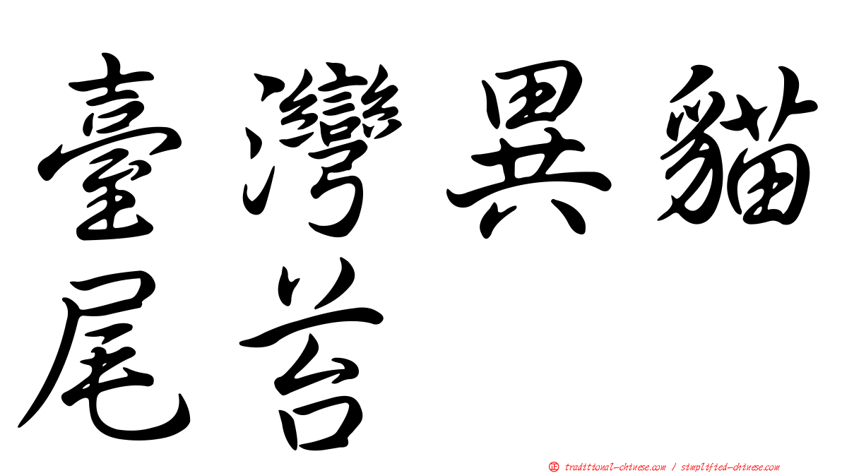 臺灣異貓尾苔