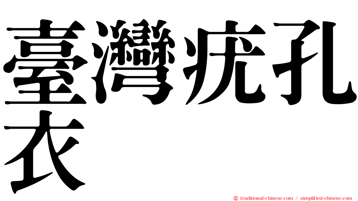 臺灣疣孔衣