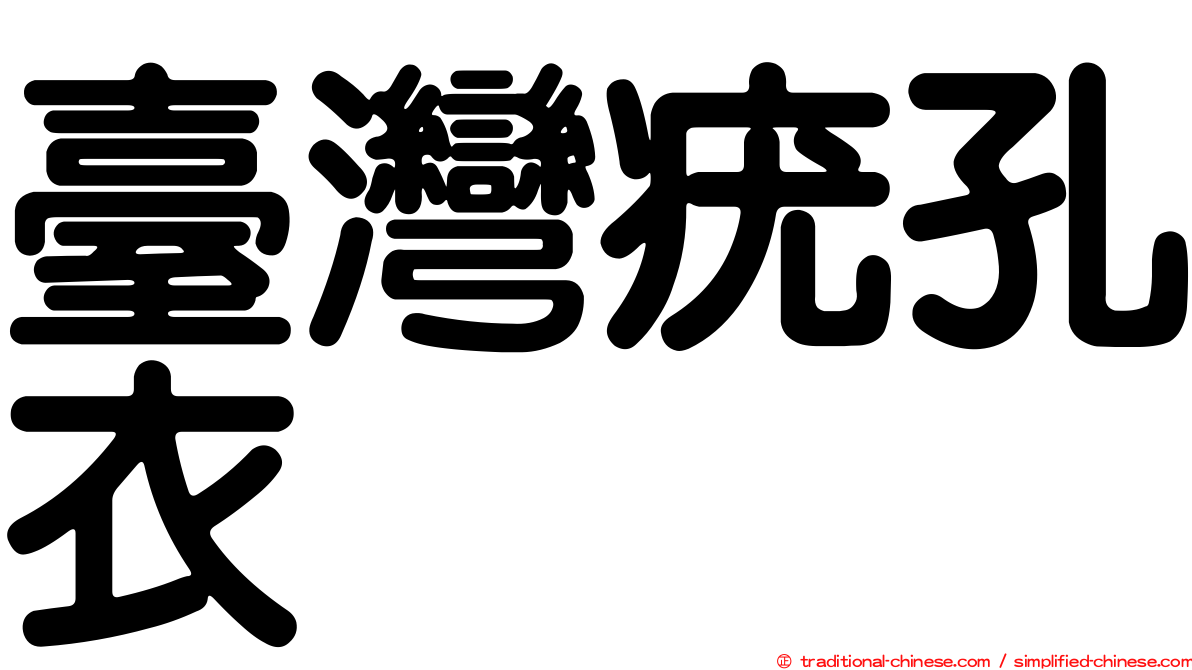 臺灣疣孔衣