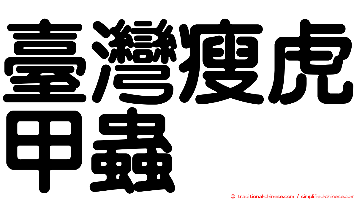 臺灣瘦虎甲蟲
