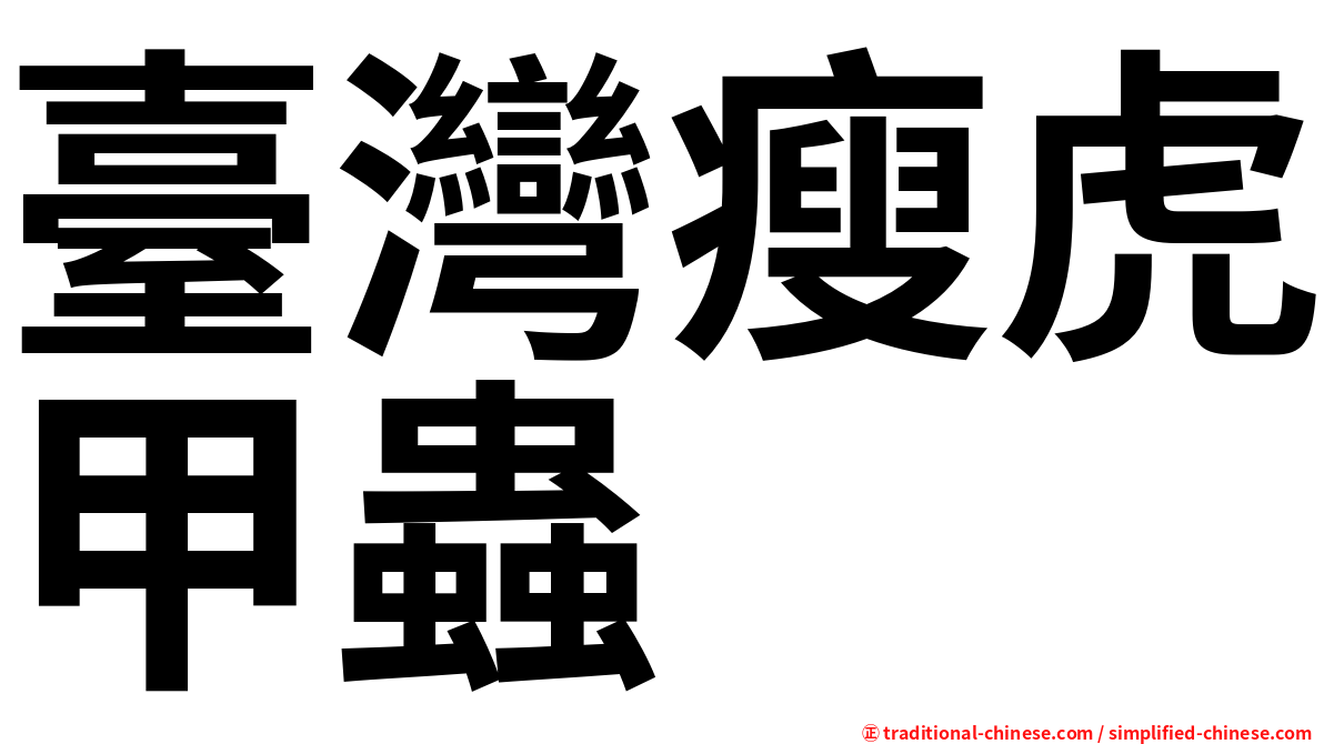 臺灣瘦虎甲蟲