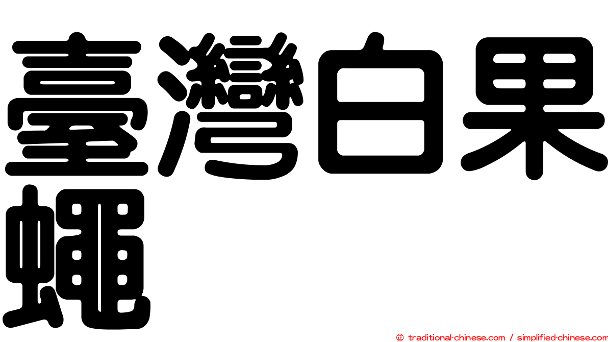 臺灣白果蠅