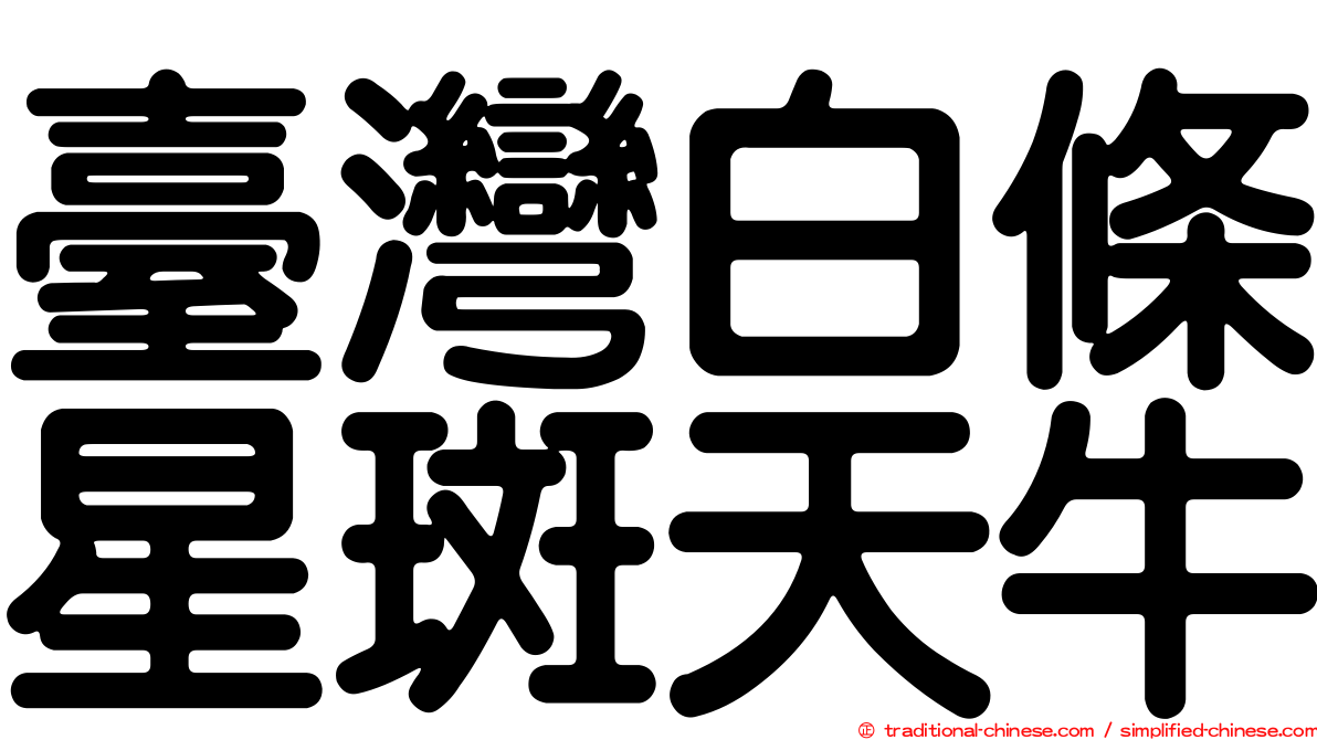 臺灣白條星斑天牛