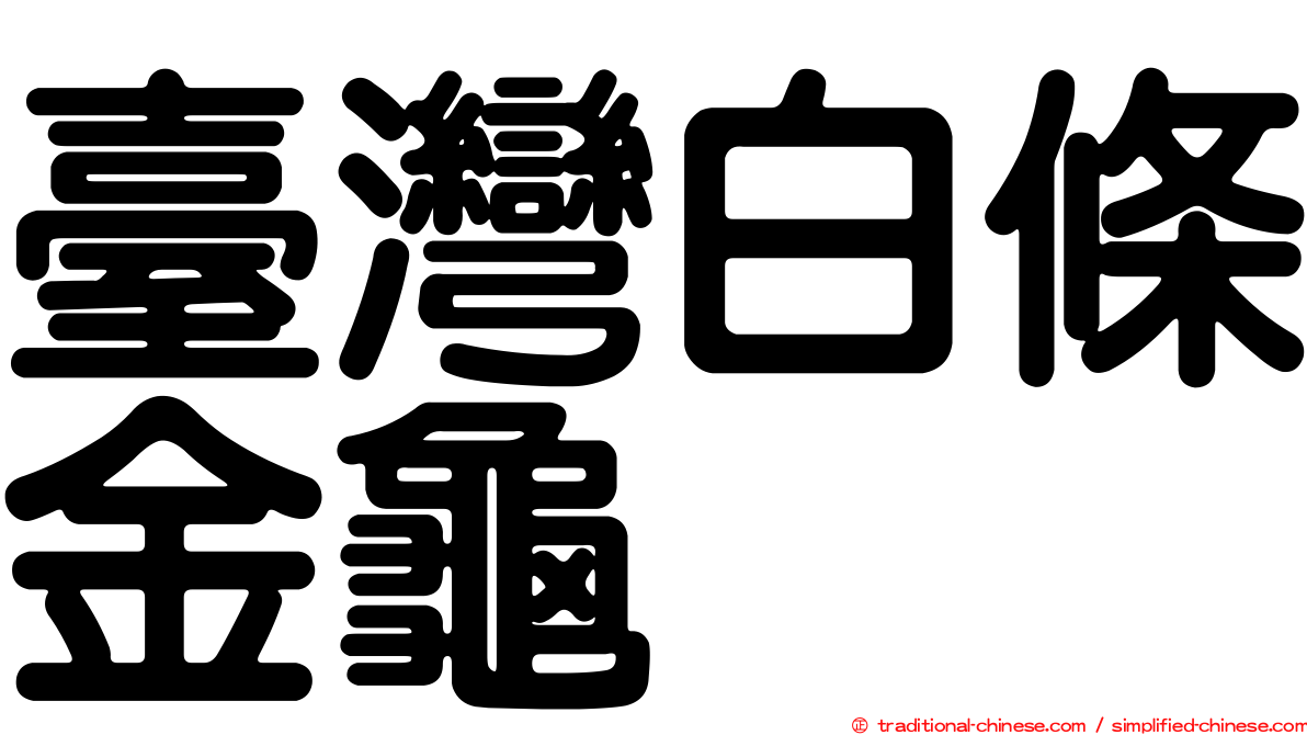 臺灣白條金龜