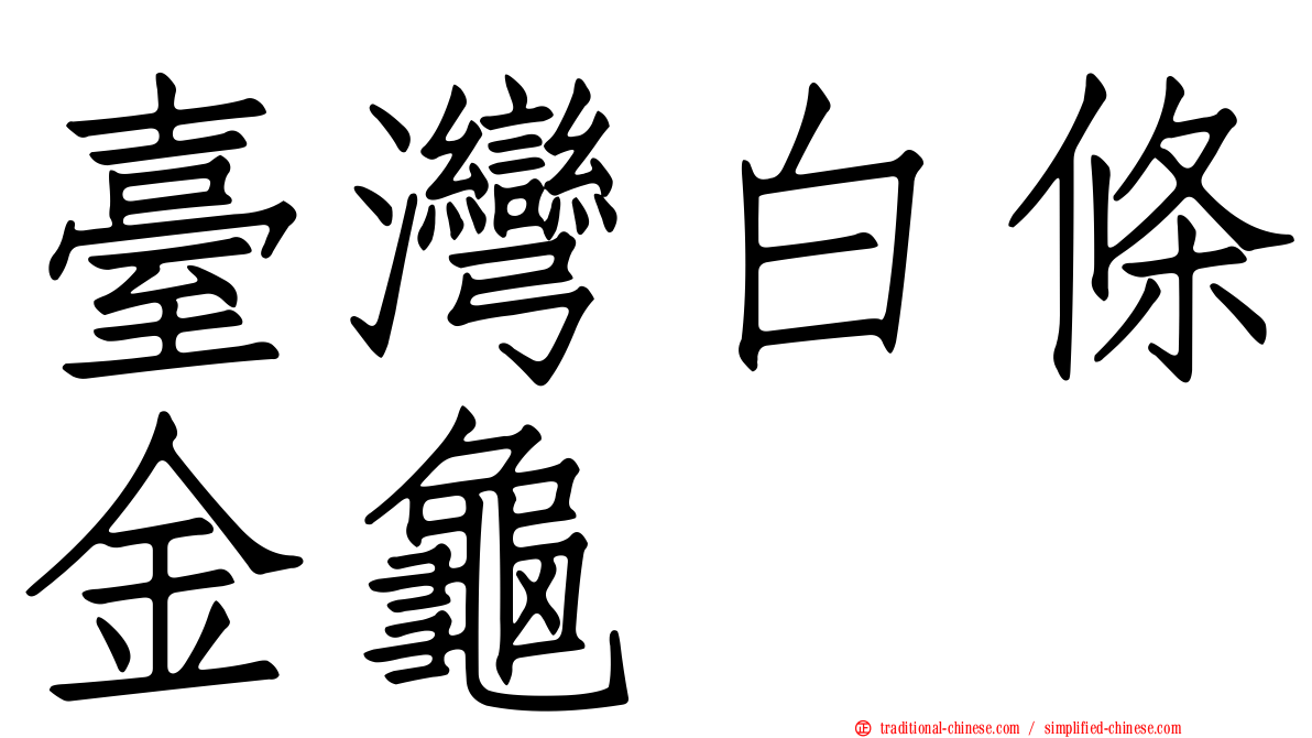 臺灣白條金龜