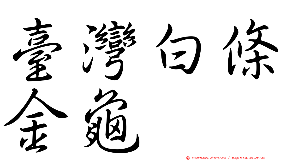 臺灣白條金龜