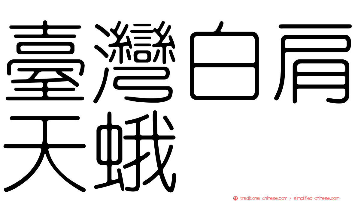 臺灣白肩天蛾