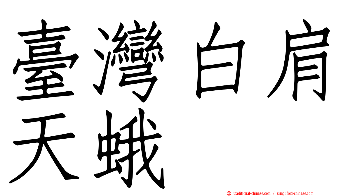 臺灣白肩天蛾