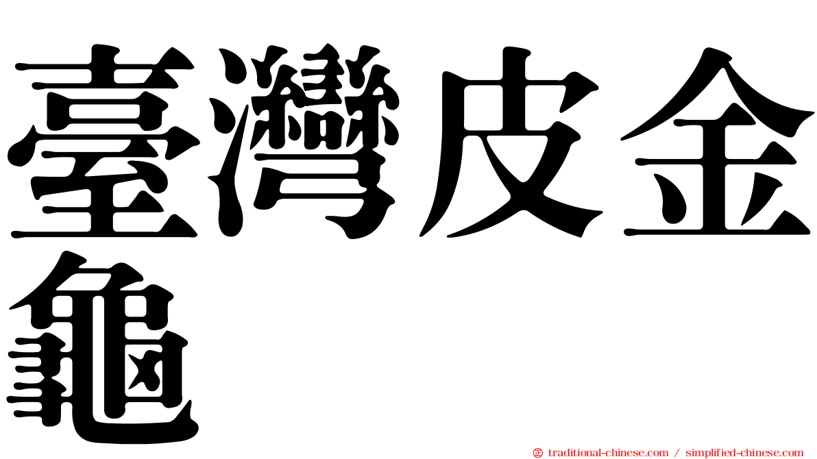 臺灣皮金龜