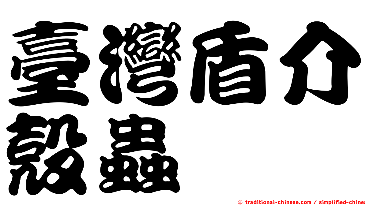 臺灣盾介殼蟲