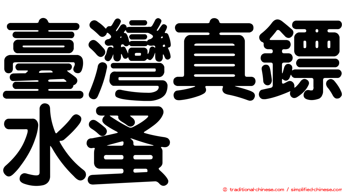 臺灣真鏢水蚤