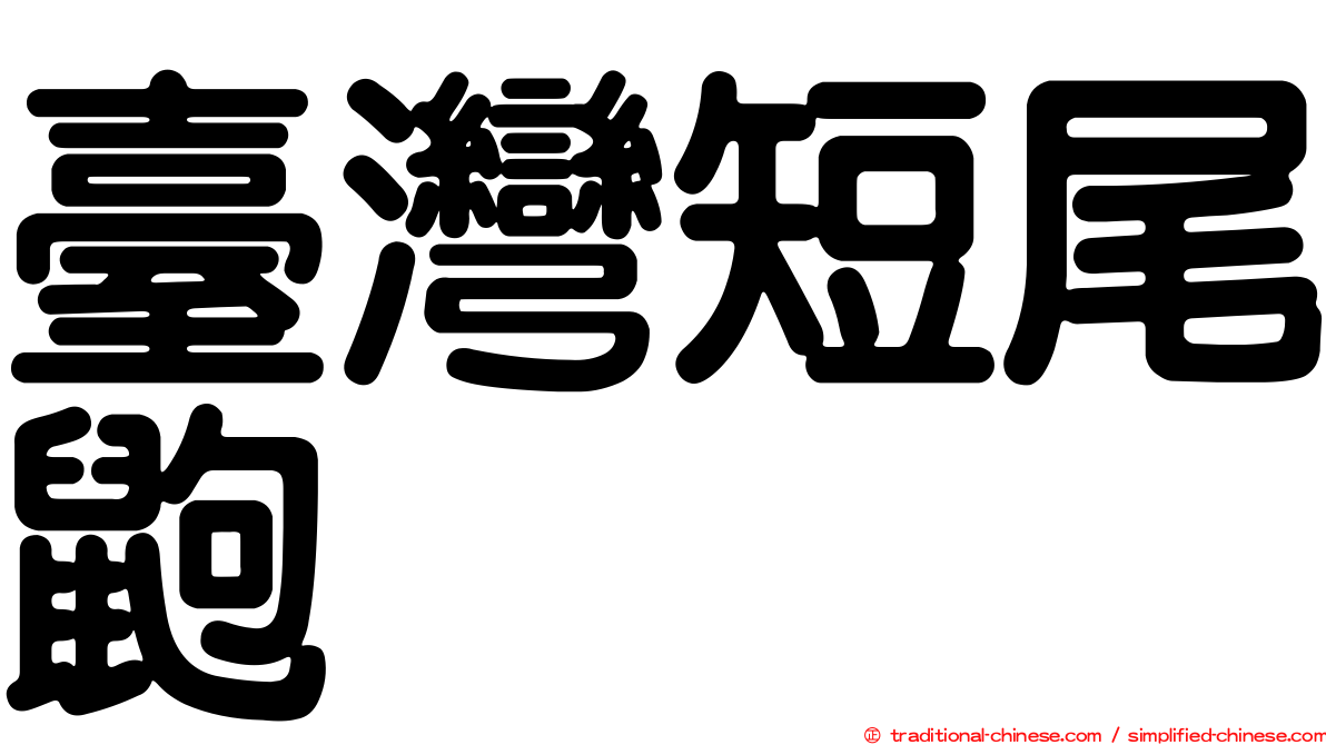臺灣短尾鼩