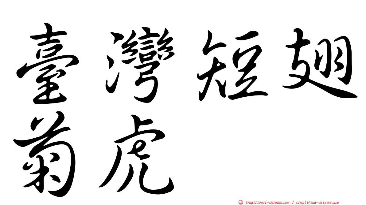 臺灣短翅菊虎