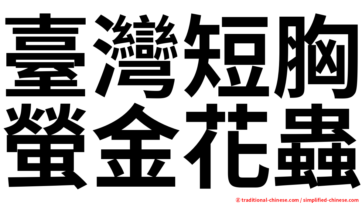 臺灣短胸螢金花蟲