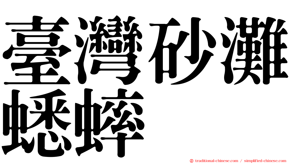 臺灣砂灘蟋蟀