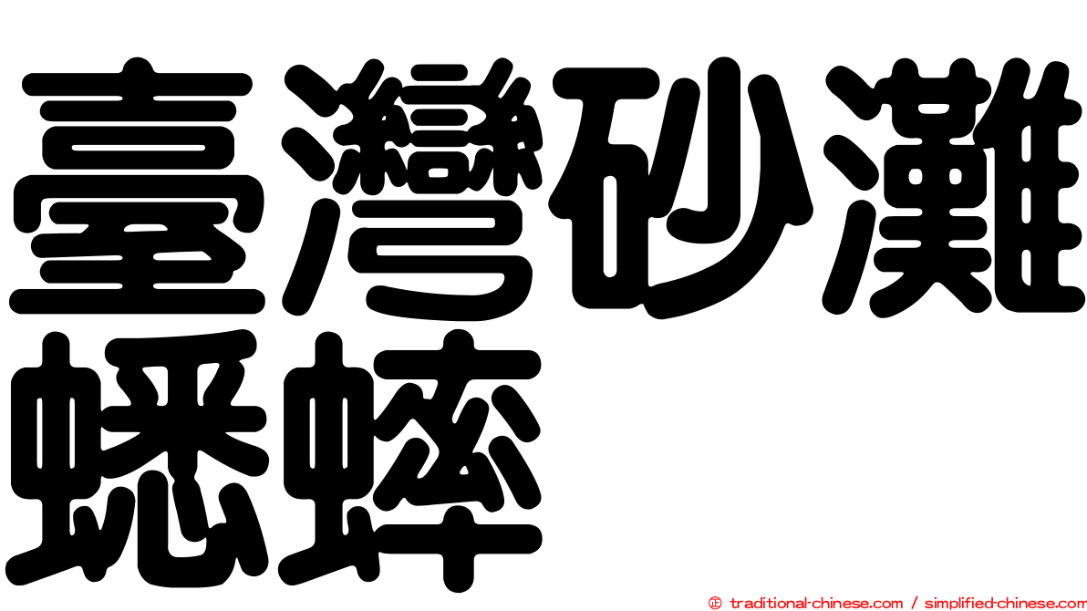 臺灣砂灘蟋蟀