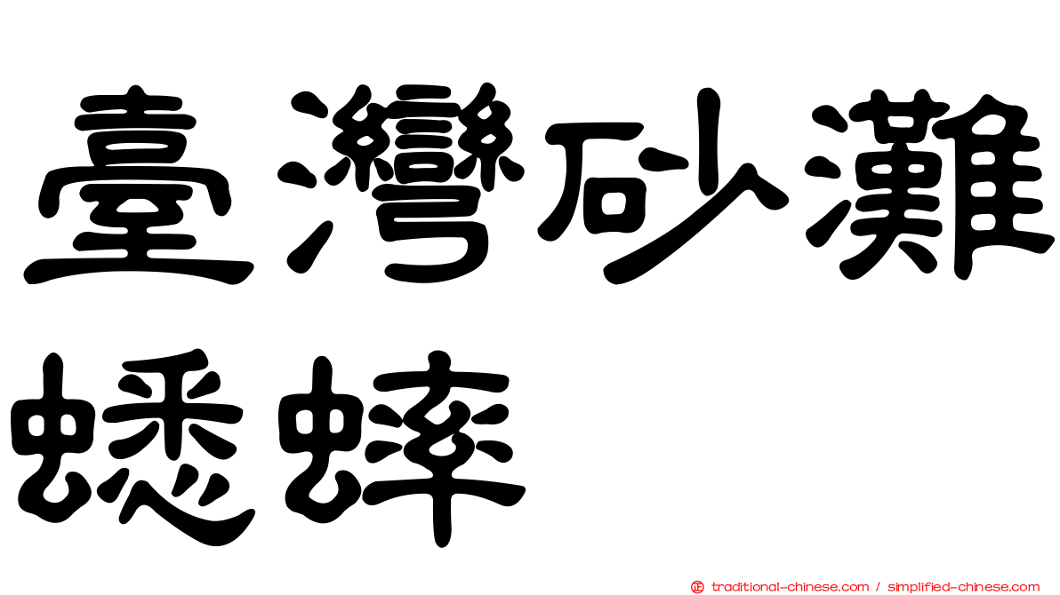 臺灣砂灘蟋蟀