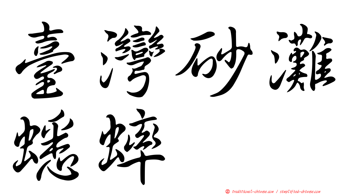 臺灣砂灘蟋蟀
