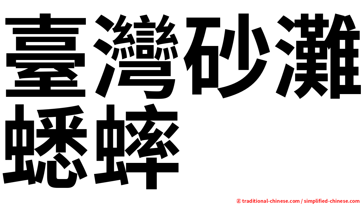 臺灣砂灘蟋蟀