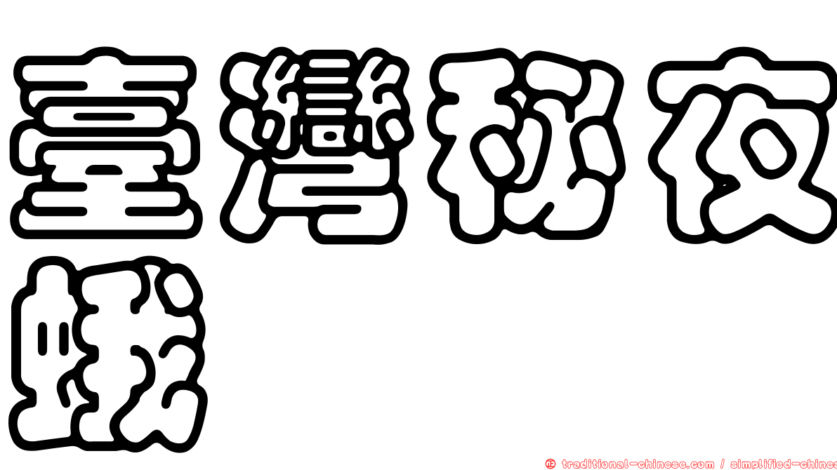 臺灣秘夜蛾