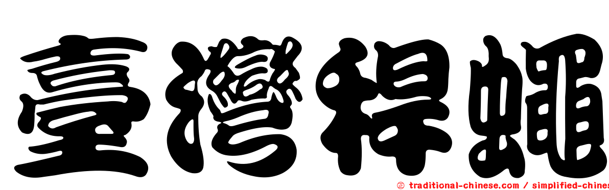 臺灣稈蠅