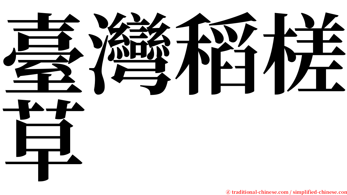 臺灣稻槎草 serif font