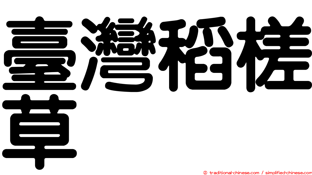 臺灣稻槎草