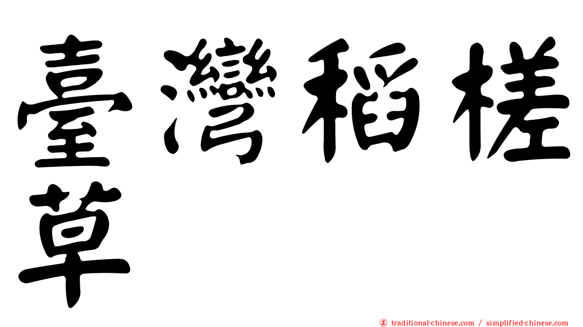 臺灣稻槎草