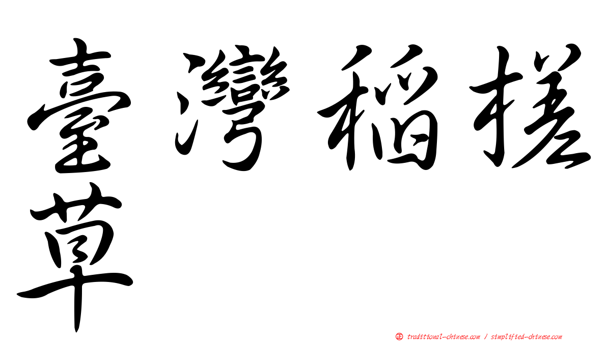 臺灣稻槎草